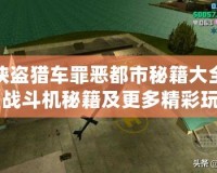 俠盜獵車罪惡都市秘籍大全：戰(zhàn)斗機秘籍及更多精彩玩法揭秘