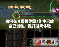 如何在《魔獸爭霸3》中只給自己加錢，提升游戲體驗