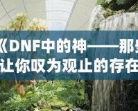 《DNF中的神——那些讓你嘆為觀止的存在》