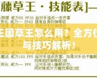 洛克王國草王怎么用？全方位攻略與技巧解析！