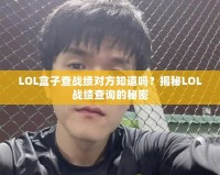 LOL盒子查戰(zhàn)績對方知道嗎？揭秘LOL戰(zhàn)績查詢的秘密