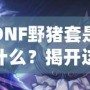 DNF野豬套是什么？揭開這套裝備的神秘面紗，助你征戰(zhàn)地下城！