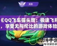 《QQ飛車貓頭鷹：極速飛翔，享受無與倫比的游戲體驗(yàn)》