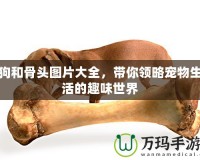 狗和骨頭圖片大全，帶你領(lǐng)略寵物生活的趣味世界