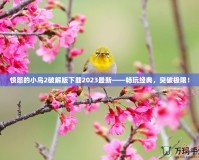 憤怒的小鳥2破解版下載2023最新——暢玩經(jīng)典，突破極限！