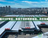 盛大VIP專區(qū)：專屬于您的尊貴體驗(yàn)，盡在掌握