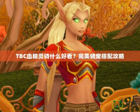 TBC血精靈騎什么好看？完美騎寵搭配攻略