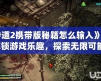 《侍道2攜帶版秘籍怎么輸入》——解鎖游戲樂趣，探索無限可能！