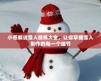 小蒼解說雪人視頻大全，讓你掌握雪人制作的每一個(gè)細(xì)節(jié)