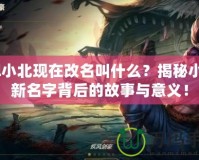 lol小北現(xiàn)在改名叫什么？揭秘小北新名字背后的故事與意義！