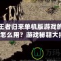 傳奇王者歸來單機版游戲的探測項鏈怎么用？游戲秘籍大揭秘！