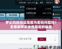 夢幻風(fēng)險(xiǎn)驗(yàn)證是因?yàn)槊艽a問題嗎？全面解析安全性背后的秘密
