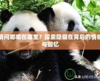 請問嘟嘟在哪里？探索隱藏在背后的情感與回憶