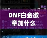 DNF白金徽章加什么？全方位提升角色戰(zhàn)力的最佳選擇