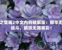 血之榮耀2中文內(nèi)購破解版：暢享無盡戰(zhàn)斗，解鎖無限精彩！