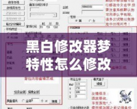 黑白修改器夢特性怎么修改？一步步帶你掌握修改技巧