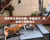 狗和骨頭游戲攻略：掌握技巧，輕松拿下所有關(guān)卡