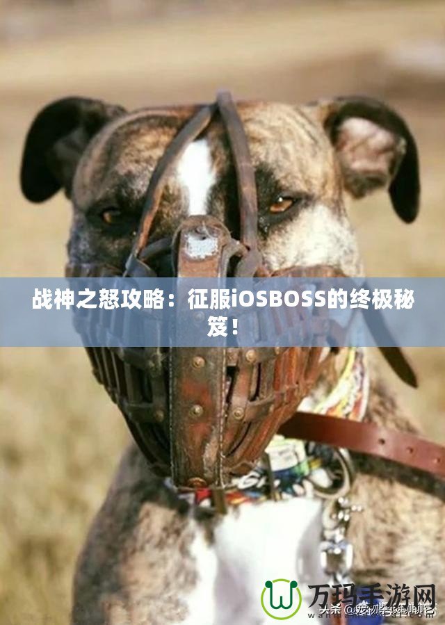 戰(zhàn)神之怒攻略：征服iOSBOSS的終極秘笈！