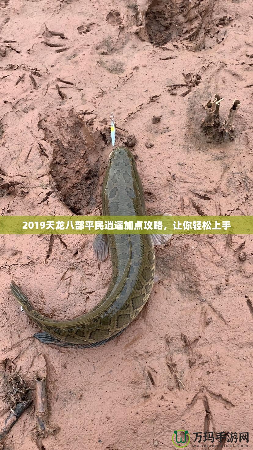 2019天龍八部平民逍遙加點(diǎn)攻略，讓你輕松上手