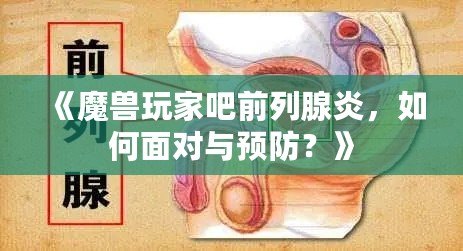 《魔獸玩家吧前列腺炎，如何面對與預(yù)防？》