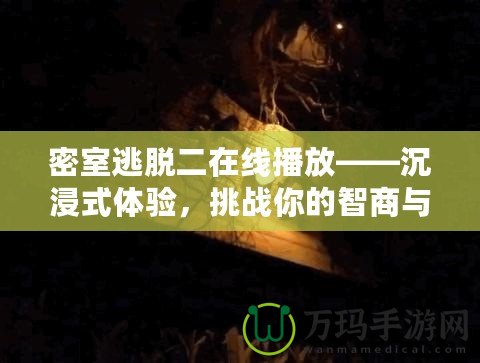 密室逃脫二在線播放——沉浸式體驗(yàn)，挑戰(zhàn)你的智商與勇氣！