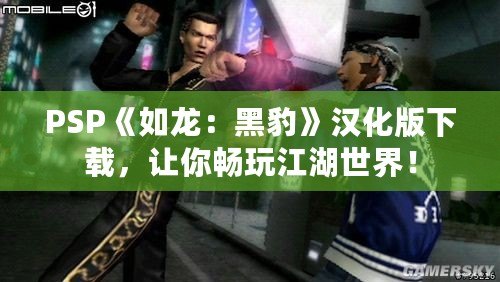 PSP《如龍：黑豹》漢化版下載，讓你暢玩江湖世界！