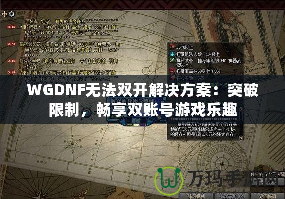 WGDNF無法雙開解決方案：突破限制，暢享雙賬號游戲樂趣