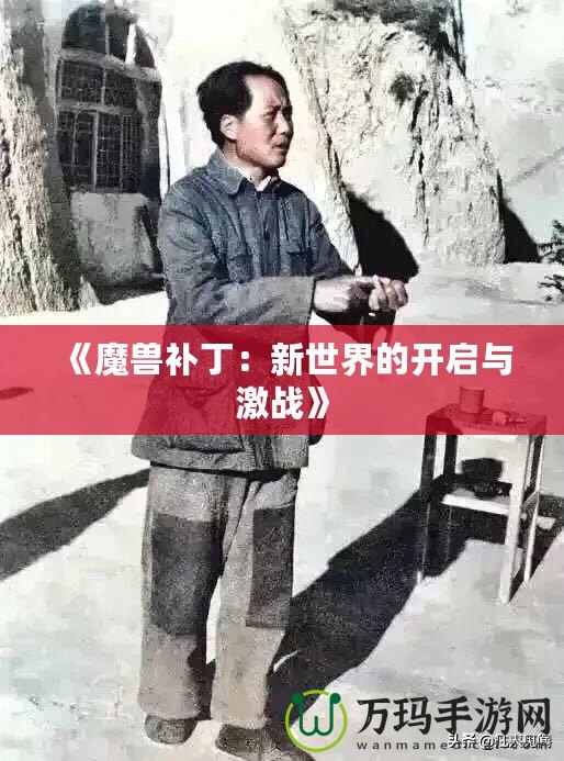 《魔獸補(bǔ)?。盒率澜绲拈_啟與激戰(zhàn)》