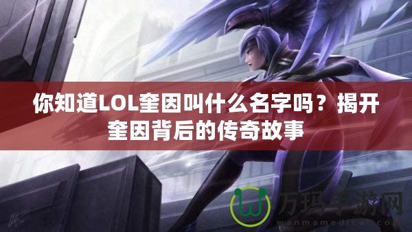 你知道LOL奎因叫什么名字嗎？揭開奎因背后的傳奇故事