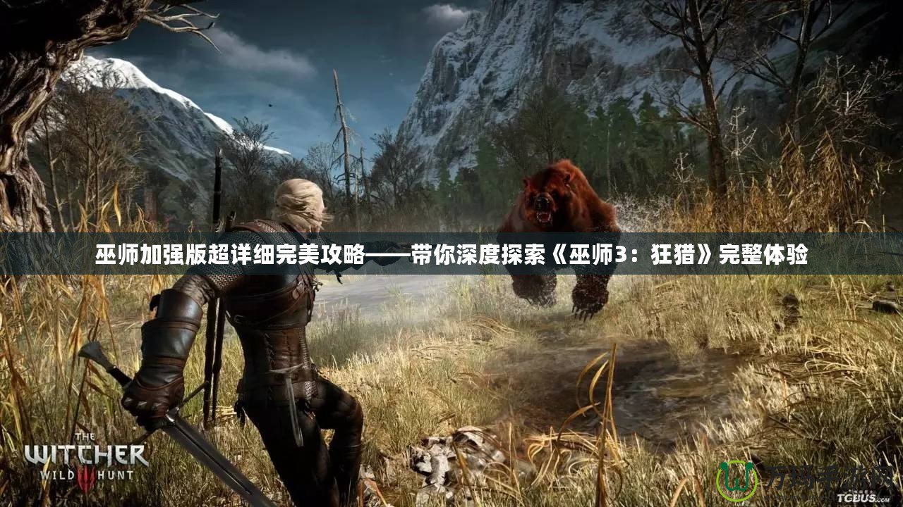 巫師加強版超詳細完美攻略——帶你深度探索《巫師3：狂獵》完整體驗