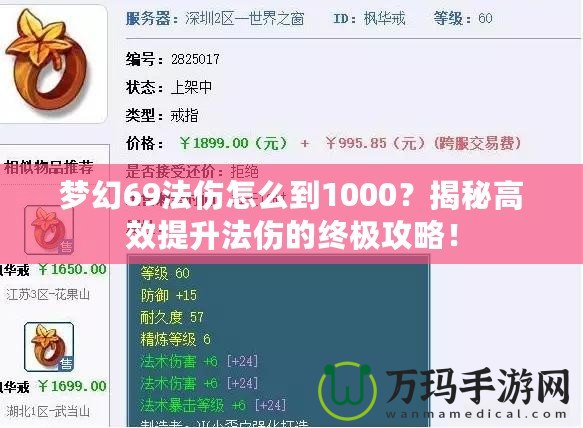 夢(mèng)幻69法傷怎么到1000？揭秘高效提升法傷的終極攻略！