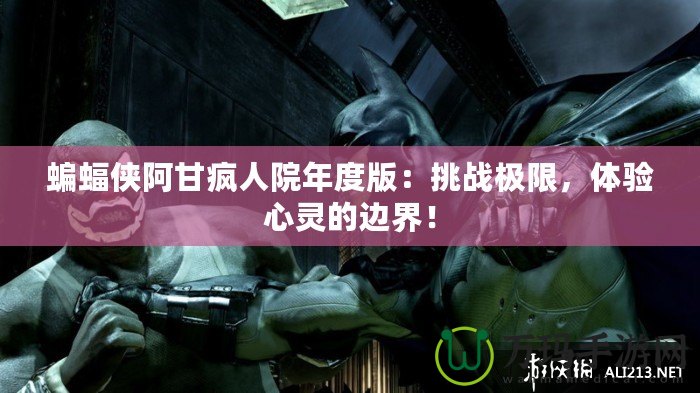 蝙蝠俠阿甘瘋?cè)嗽耗甓劝妫禾魬?zhàn)極限，體驗心靈的邊界！