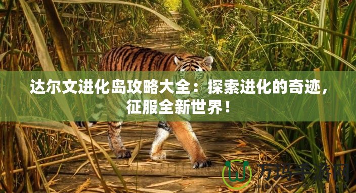 達(dá)爾文進(jìn)化島攻略大全：探索進(jìn)化的奇跡，征服全新世界！