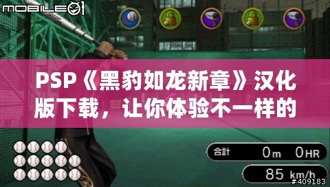 PSP《黑豹如龍新章》漢化版下載，讓你體驗不一樣的江湖風云！