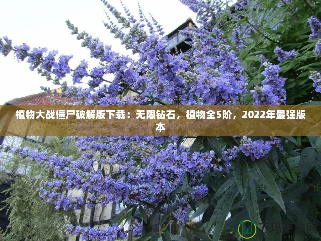 植物大戰(zhàn)僵尸破解版下載：無(wú)限鉆石，植物全5階，2022年最強(qiáng)版本