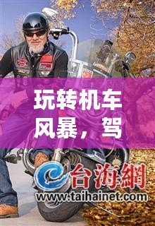 玩轉(zhuǎn)機(jī)車風(fēng)暴，駕馭速度與激情——PSV機(jī)車風(fēng)暴中文全解析