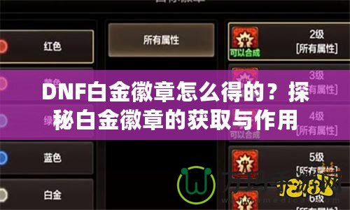 DNF白金徽章怎么得的？探秘白金徽章的獲取與作用