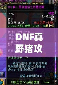 DNF真野豬攻略講解——輕松擊敗野豬王，帶你暢游地下城！