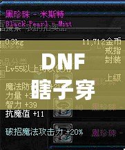 DNF瞎子穿什么甲？讓你秒變無敵的裝備選擇解析！