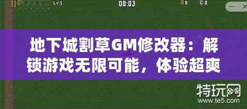 地下城割草GM修改器：解鎖游戲無限可能，體驗超爽割草快感！