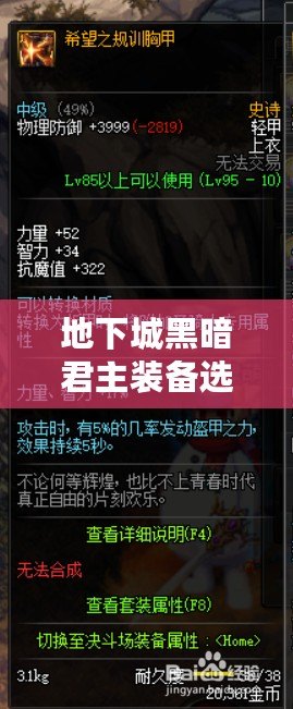 地下城黑暗君主裝備選擇全解析：打造最強(qiáng)戰(zhàn)力