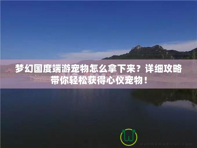 夢幻國度端游寵物怎么拿下來？詳細攻略帶你輕松獲得心儀寵物！