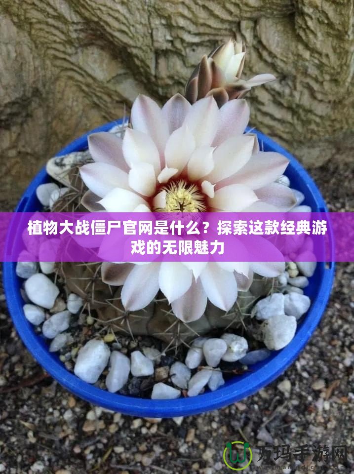 植物大戰(zhàn)僵尸官網(wǎng)是什么？探索這款經(jīng)典游戲的無限魅力