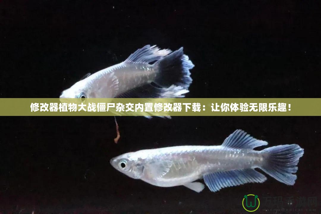 修改器植物大戰(zhàn)僵尸雜交內(nèi)置修改器下載：讓你體驗無限樂趣！