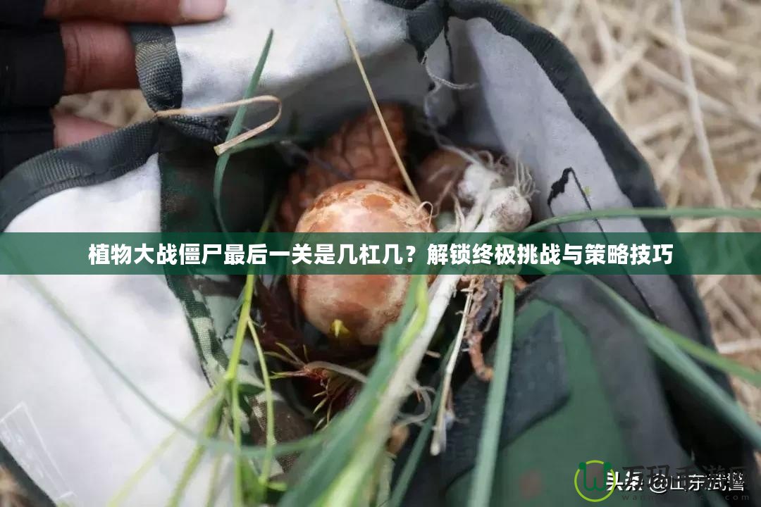 植物大戰(zhàn)僵尸最后一關(guān)是幾杠幾？解鎖終極挑戰(zhàn)與策略技巧