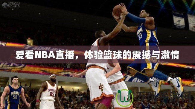 愛看NBA直播，體驗(yàn)籃球的震撼與激情