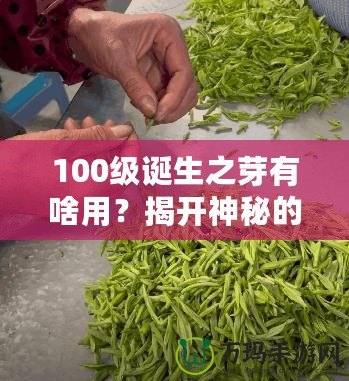 100級誕生之芽有啥用？揭開神秘的面紗，探索無限可能！