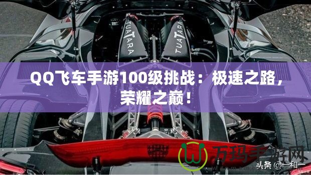 QQ飛車(chē)手游100級(jí)挑戰(zhàn)：極速之路，榮耀之巔！