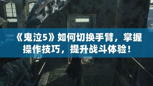 《鬼泣5》如何切換手臂，掌握操作技巧，提升戰(zhàn)斗體驗(yàn)！