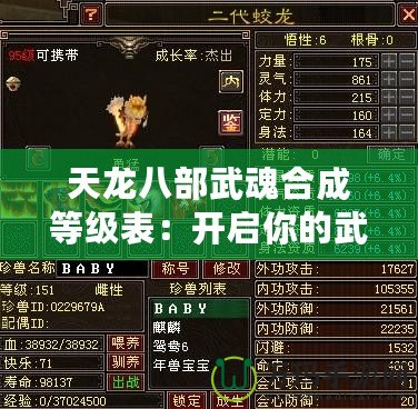 天龍八部武魂合成等級(jí)表：開(kāi)啟你的武魂之路，成就最強(qiáng)英雄！